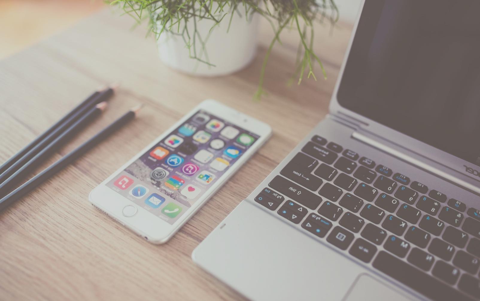 वेलनेस कार्यक्रम की विशेषताएं